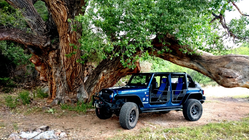 Copper Creek Giant Tree
