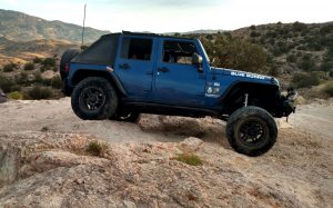 The Blue Burro