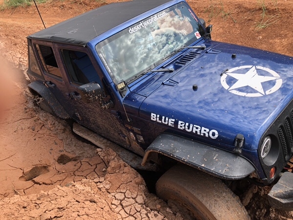 Off-Road Blue Burro
