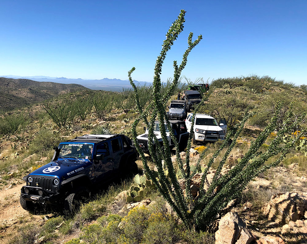 Tortalitas Trail Ride