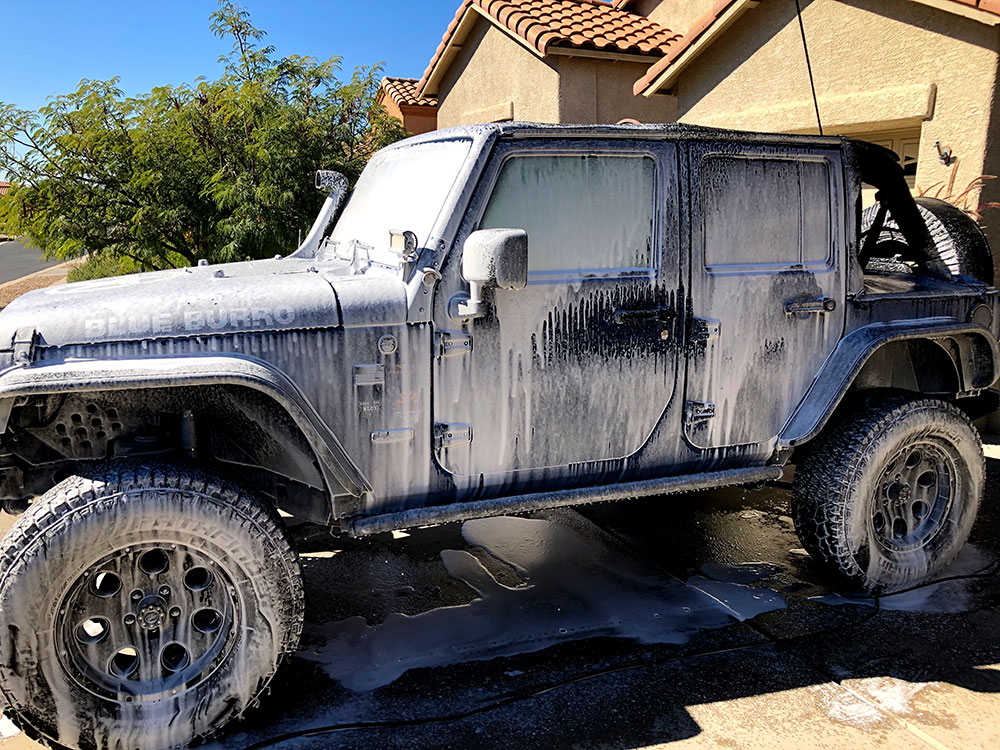 Foamy Blue Burro