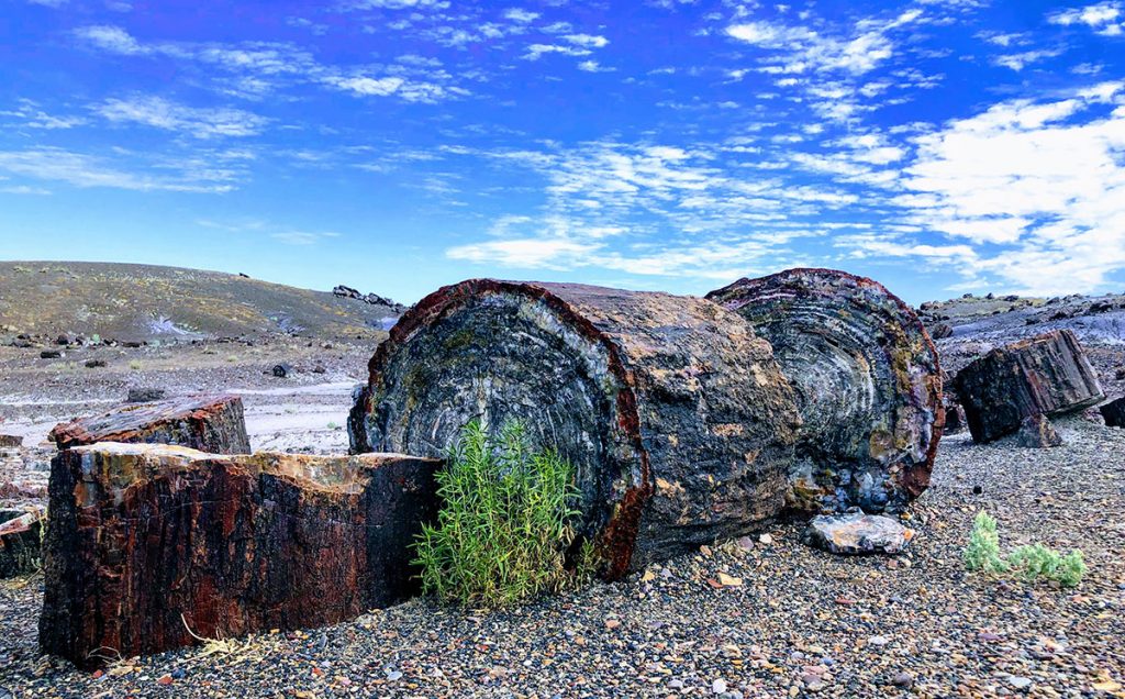 Lymon Lake State Park, Petroglyphs, Petrified Forest and Painted Desert